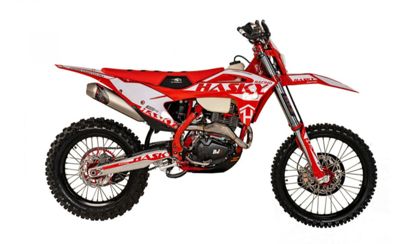 купить Мотоцикл кроссовый эндуро HASKY F6 Racing 175FMN PR300 в Москве - фото 