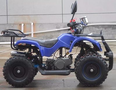 купить Квадроцикл RAPTOR Max Pro 49cc (2024) в Москве - фото 
