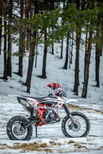 купить Мотоцикл питбайк SHARMAX PowerMax 125 (2024) в Москве - фото 