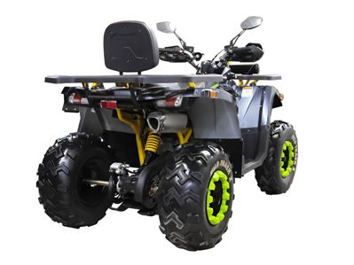 купить Квадроцикл MOTOLAND 200 Wild Track X Winch в Москве - фото 