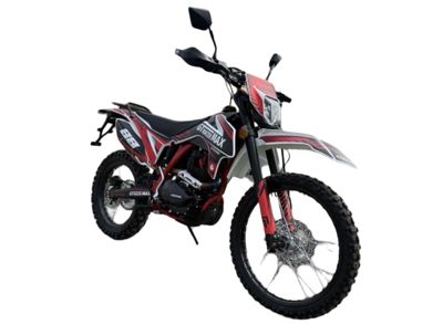 купить Мотоцикл GT Racer Max 300 (175FMN) 21/18 в Москве - фото 