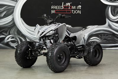 купить Квадроцикл SHARMAX Raizer Race Cup 250 в Москве - фото 