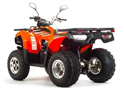 купить Квадроцикл MOTOLAND 200 Max в Москве - фото 