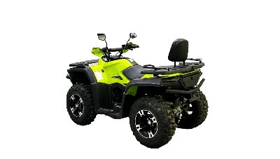 купить Квадроцикл BISON 330L в Москве - фото 