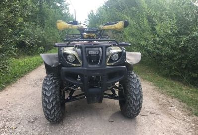 купить Квадроцикл MOTOLAND 250 Adventure (2021 Г.) в Москве - фото 