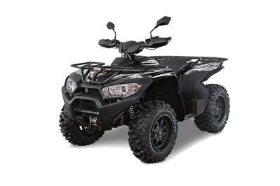 купить Квадроцикл ACCESS AMX 8.57 EPS LV LTD (ПСМ) в Москве - фото 