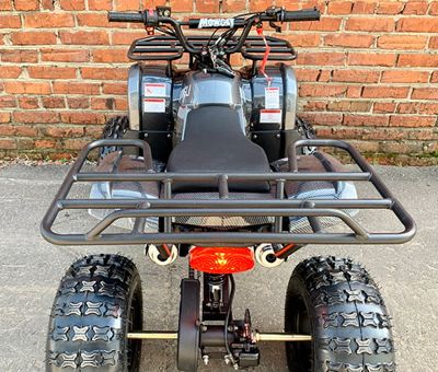 купить Квадроцикл MOWGLI Simple 8+ в Москве - фото 