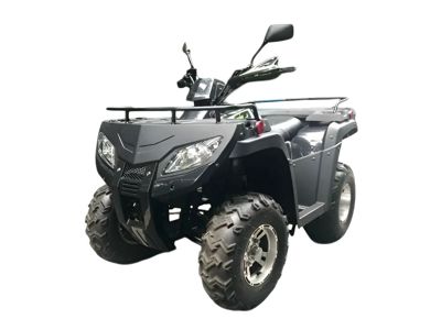 купить Квадроцикл RATO RT250ST Premium в Москве - фото 