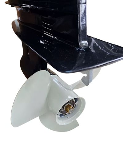 купить 2х-тактный лодочный мотор GOLFSTREAM T50AFWL-T в Москве - фото 