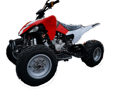 купить Квадроцикл MOTOLAND 250S Pro в Москве - фото 