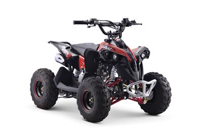 купить Квадроцикл YACOTA Renegade Mini в Москве - фото 