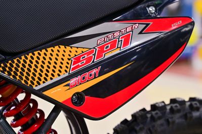 купить Мотоцикл TMBK Pitster SP1 150 Biggy в Москве - фото 