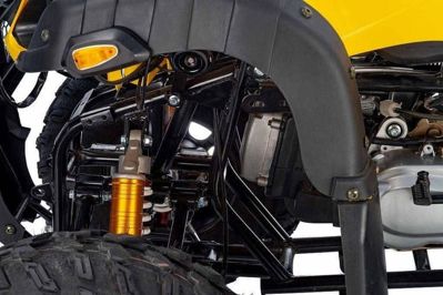 купить Квадроцикл RAPTOR Max Pro 250 (жёлтый/чёрный) (2024) в Москве - фото 