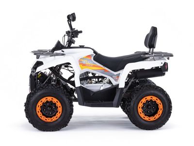 купить Квадроцикл MOTAX ATV Grizlik 200 Ultra в Москве - фото 