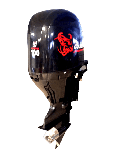 купить 4х-тактный лодочный мотор GOLFSTREAM F100FEL-T EFI в Москве - фото 