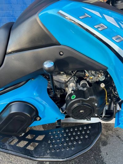 купить Снегоход WELS 250RS в Москве - фото 