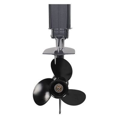 купить 2х-тактный лодочный мотор ALLFA CG T9.9 MAX FWS в Москве - фото 