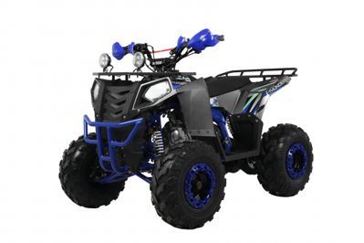купить Квадроцикл WELS Thunder EVO X ST в Москве - фото 