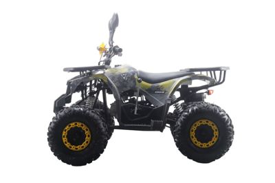 купить Квадроцикл MOTAX ATV Grizlik Premium 125cc в Москве - фото 