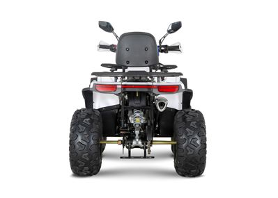 купить Квадроцикл YACOTA Viking 200 PRO в Москве - фото 