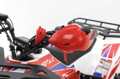 купить Квадроцикл MOTAX Grizlik A125 в Москве - фото 