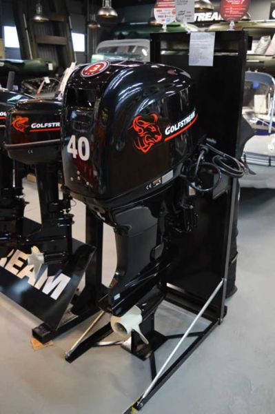 купить 4х-тактный лодочный мотор GOLFSTREAM F40FEL-T EFI в Москве - фото 