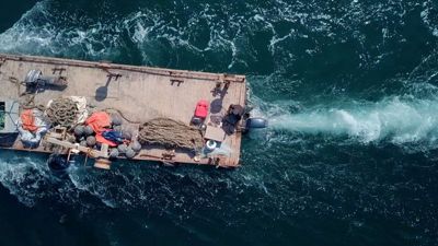 купить Дизельный лодочный мотор MIKATSU MD35FHL (2024) в Москве - фото 