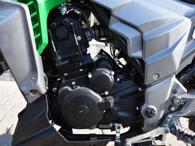 купить Мотоцикл REGULMOTO T-Leopard 300 в Москве - фото 