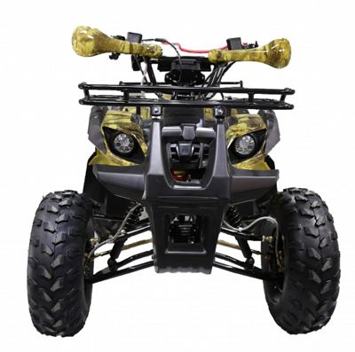 купить Квадроцикл ATV Termit TT в Москве - фото 