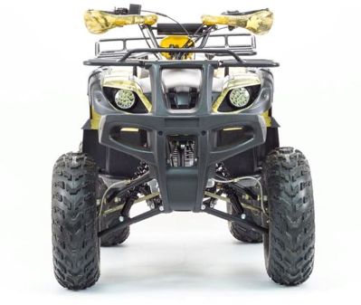 купить Квадроцикл MOTOLAND 250 Adventure (2021 Г.) в Москве - фото 