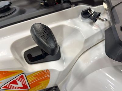 купить Квадроцикл MOTAX Grizlik 200 ULTRA BIG в Москве - фото 