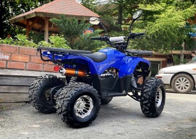 купить Квадроцикл TIGER Extra 175cc (2024) в Москве - фото 