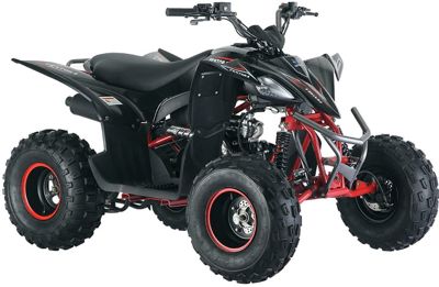 купить Квадроцикл MIKILON Rapide 120 в Москве - фото 