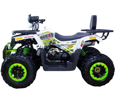 купить Квадроцикл AVANTIS Hunter 200 New Premium (2020) в Москве - фото 