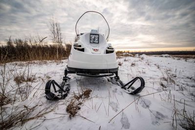 купить Снегоход БТС Артик-4Т Лонг в Москве - фото 