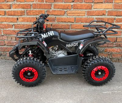 купить Квадроцикл MOWGLI Mini Hardy 4T в Москве - фото 