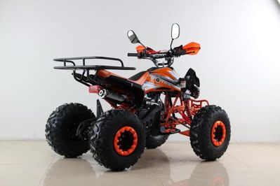 купить Квадроцикл MOTAX ATV T-Rex Super LUX 50 cc в Москве - фото 