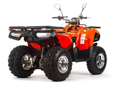 купить Квадроцикл MOTOLAND 200 Max в Москве - фото 