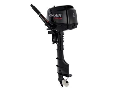 купить 4х-тактный лодочный мотор PARSUN F5BMS в Москве - фото 