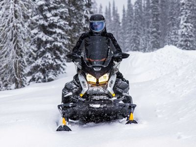 купить Снегоход BRP Ski Doo Skandic LE 24" 900 Ace в Москве - фото 