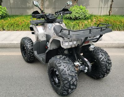 купить Квадроцикл MOTAX ATV Grizlik T200 Lux Б/У в Москве - фото 