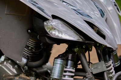 купить Квадроцикл SHARMAX Raizer Race Cup 250 в Москве - фото 