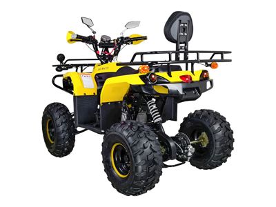 купить Квадроцикл AVANTIS Patriot Lux в Москве - фото 