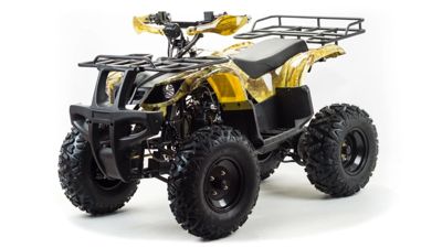 купить Квадроцикл MOTOLAND 150 Maverick в Москве - фото 