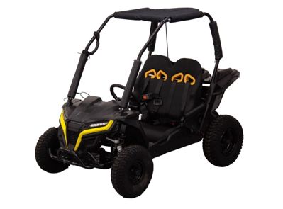 купить Багги KTA K1 в Москве - фото 