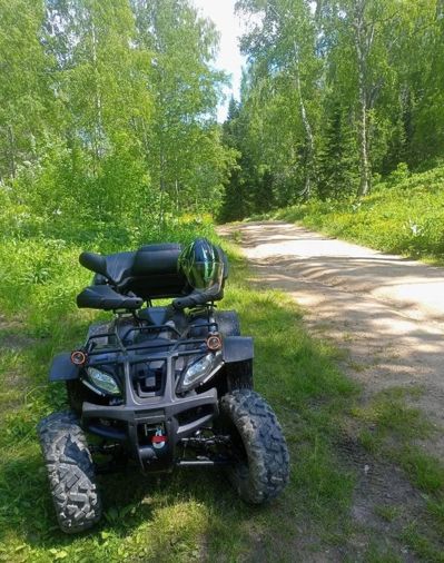 купить Квадроцикл GRIZZLY 250 Б/У в Москве - фото 