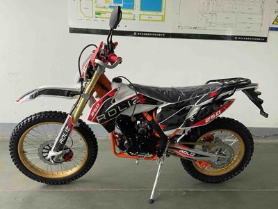 купить Мотоцикл кроссовый эндуро ROLIZ Sport-007 в Москве - фото 