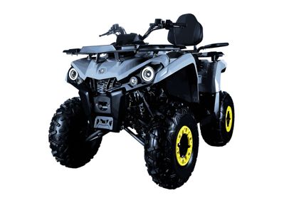 купить Квадроцикл AVANTIS Forester Long 200 Basic в Москве - фото 