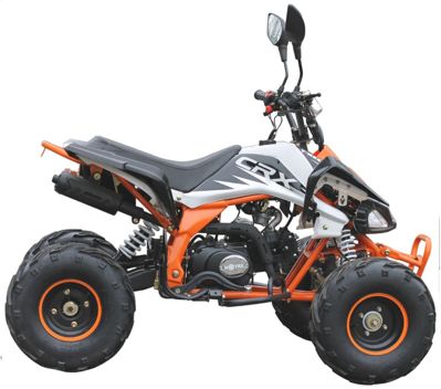 купить Квадроцикл MOTAX ATV T-Rex LUX 125 cc в Москве - фото 