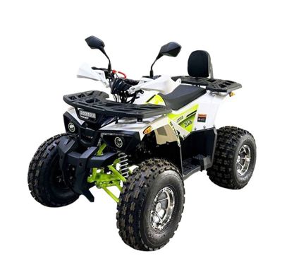 Квадроцикл BISON Miravel 125 Lux в Москве